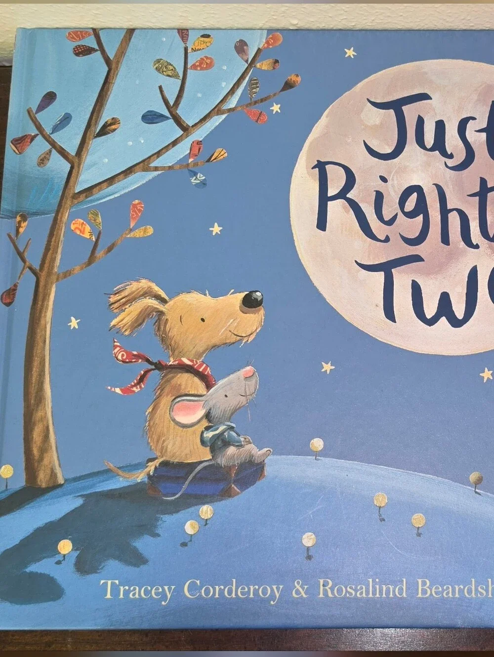 Just Right for Two Picture Book - Blue Cover